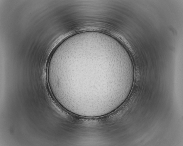 X0000112430890200909111028