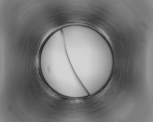 X0000112430891200909111028
