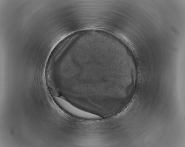 X0000112430892200909111028