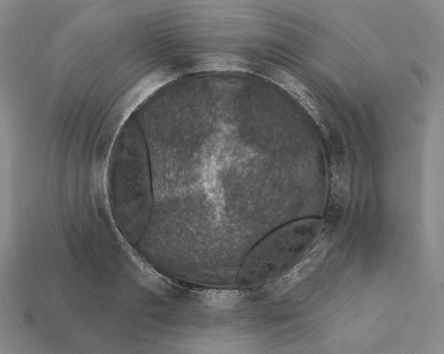 X0000112430893200909111028