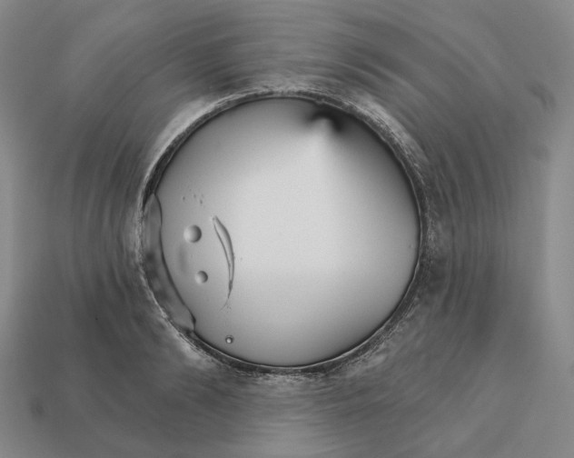 X0000112430894200909111028