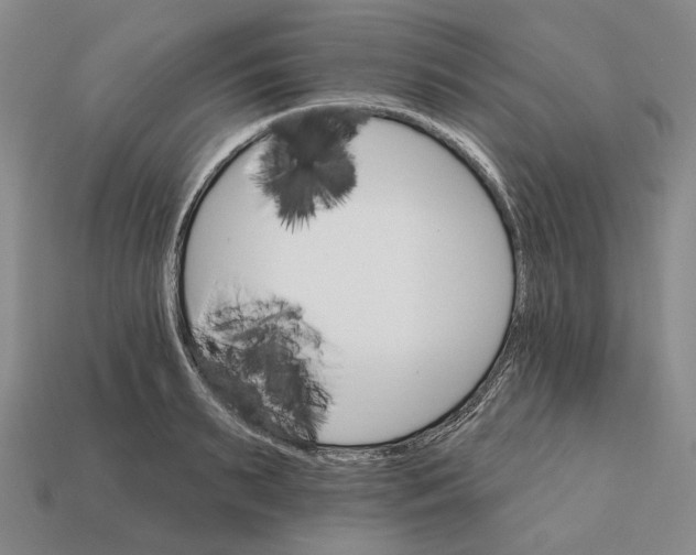 X0000112430895200909111028