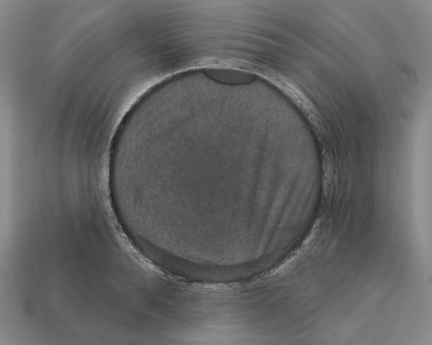 X0000112430896200909111027