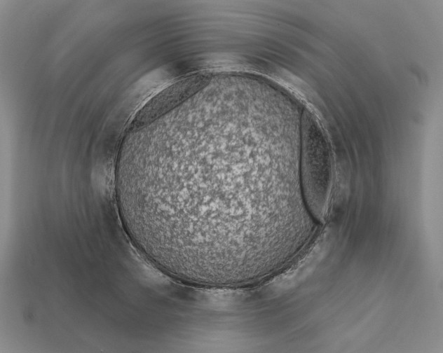 X0000112430897200909111027
