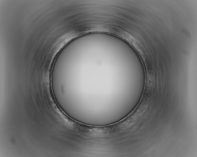 X0000112430898200909111027