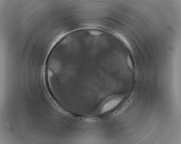 X0000112430899200909111027