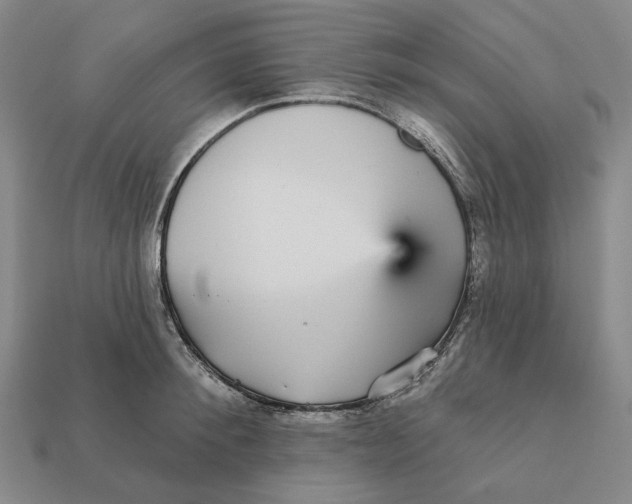 X0000112430900200909111027