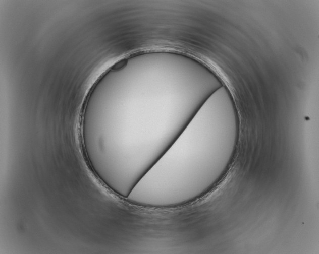 X0000112430901200909111027
