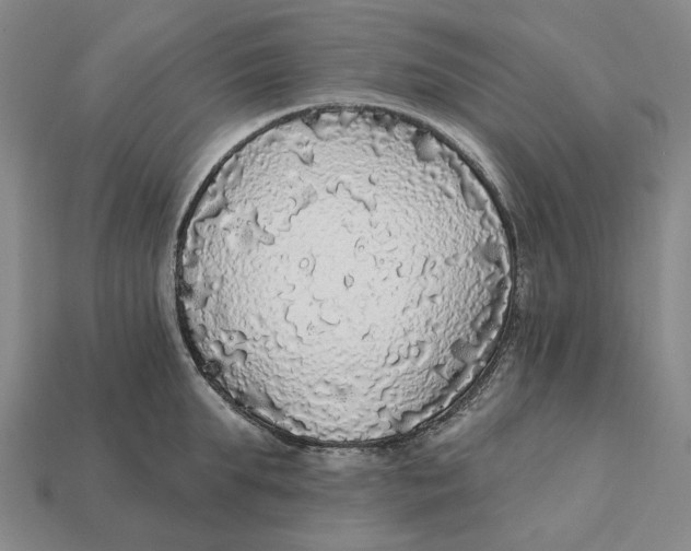 X0000112430903200909111027