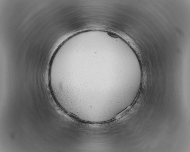 X0000112430904200909111027
