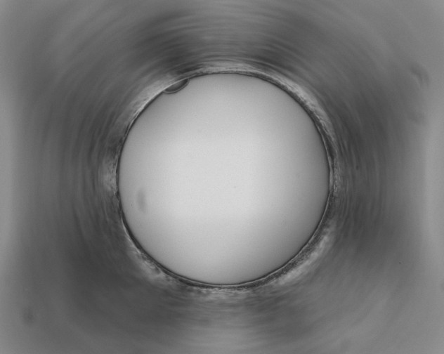 X0000112430905200909111027