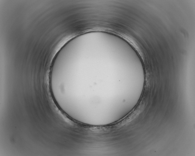 X0000112430906200909111027