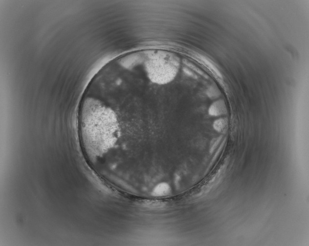 X0000112430907200909111027