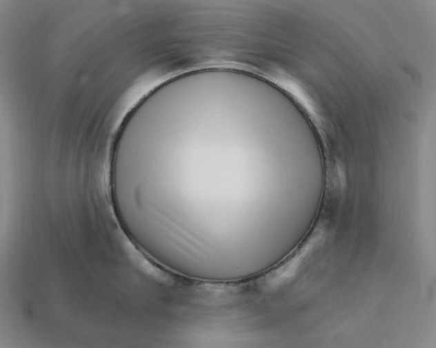 X0000112430910200909111027
