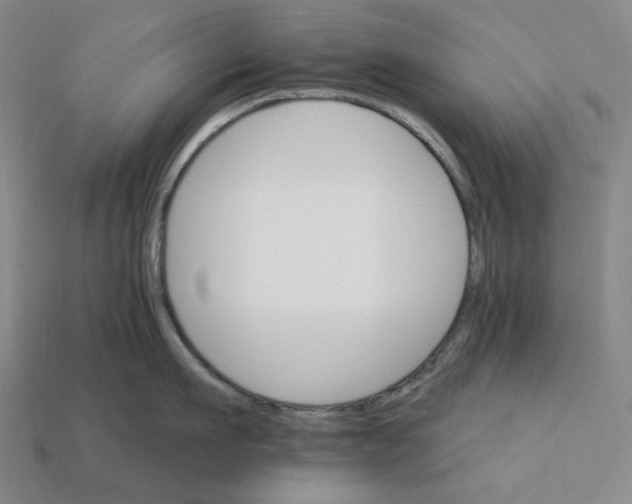X0000112430911200909111027