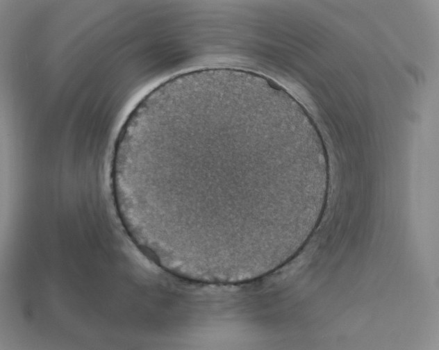 X0000112430912200909111027