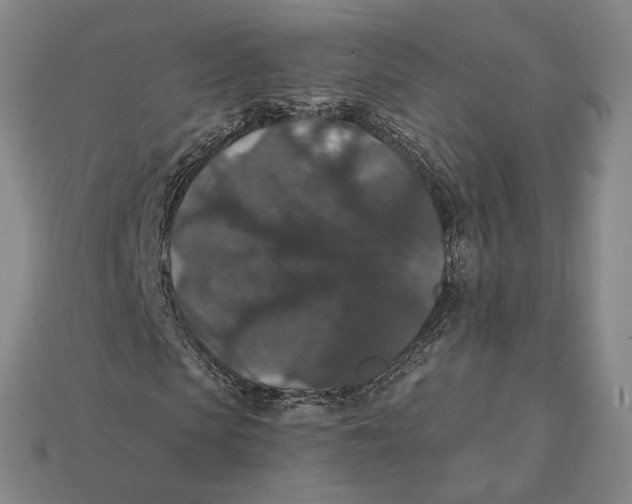 X0000112430913200909111027