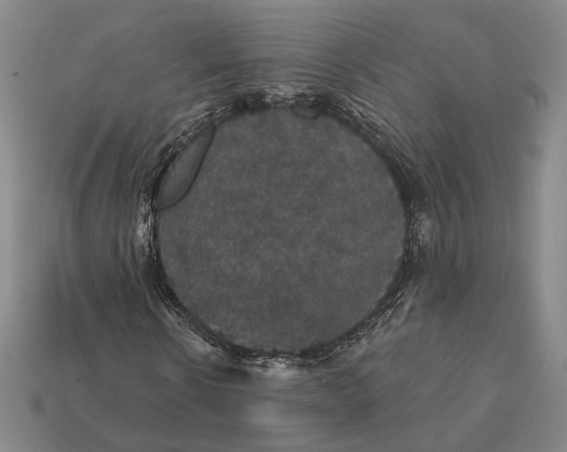 X0000112430914200909111027