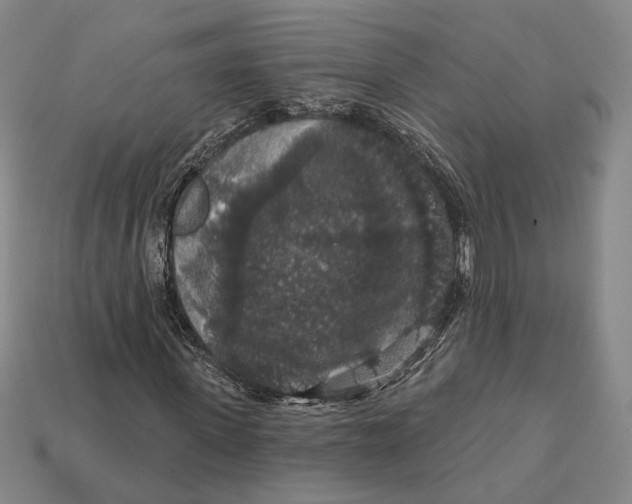 X0000112430915200909111027