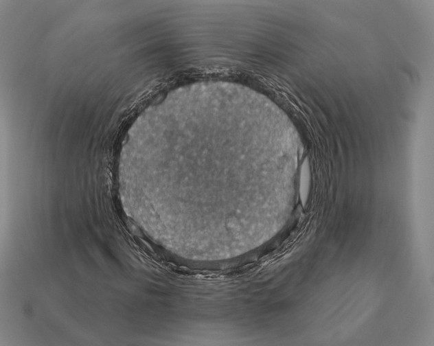 X0000112430916200909111027