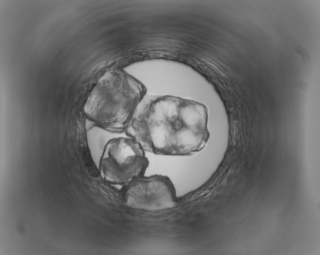 X0000112430917200909111027