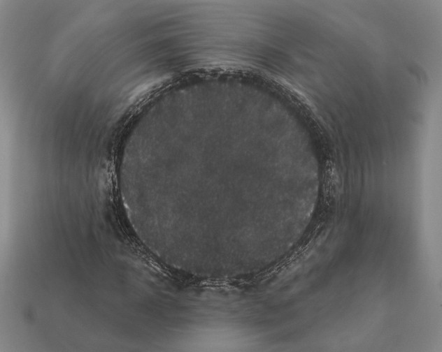 X0000112430918200909111027