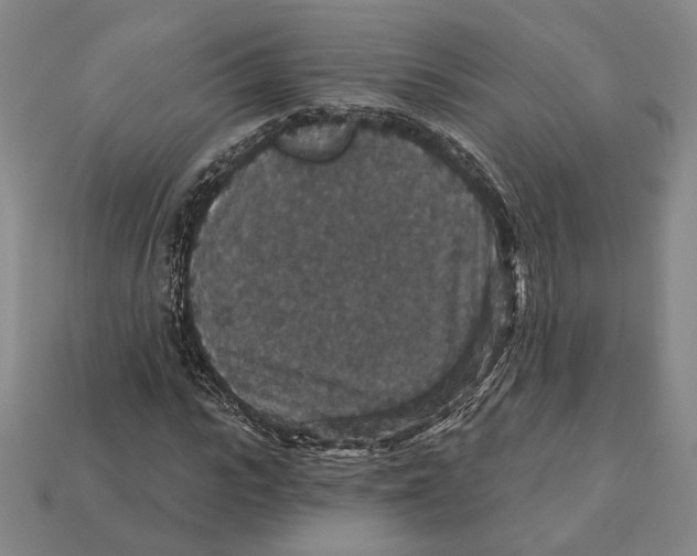 X0000112430919200909111027
