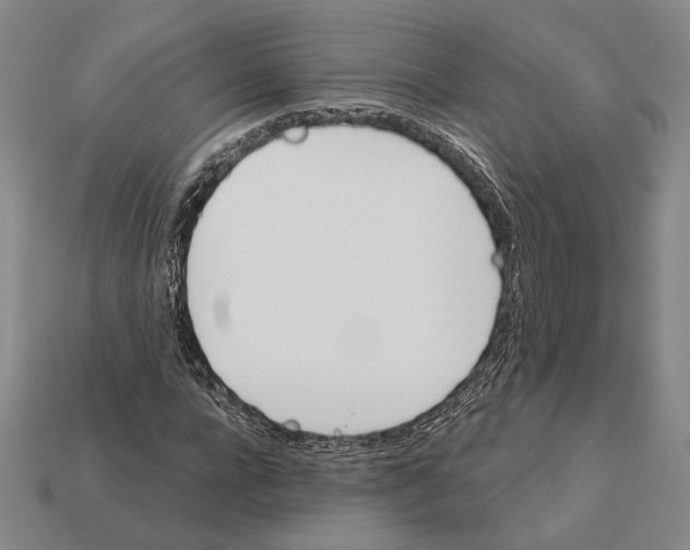 X0000112430920200909111027