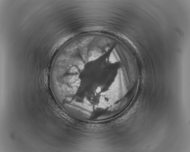 X0000112430921200909111027