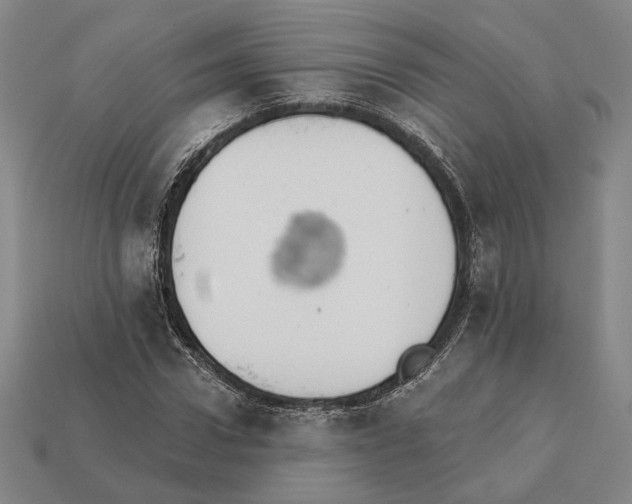 X0000112430922200909111027