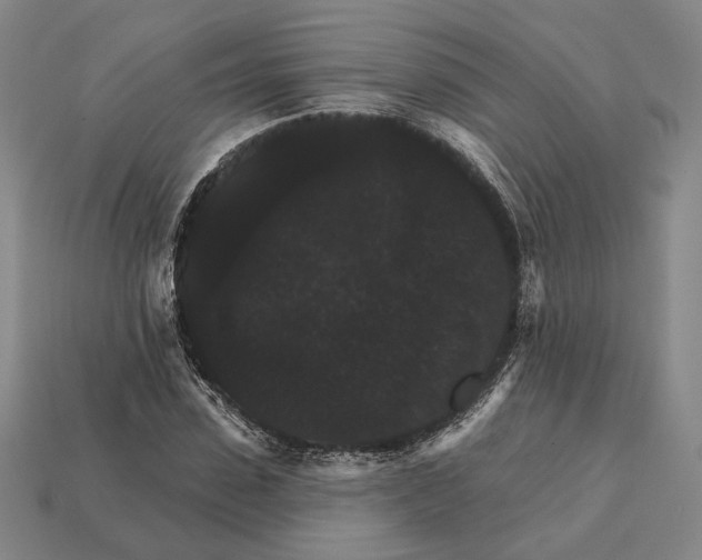 X0000112430923200909111027