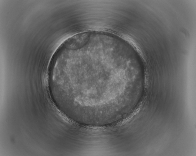 X0000112430924200909111027
