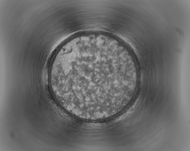 X0000112430925200909111027