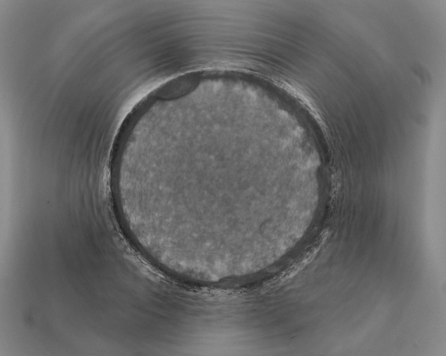 X0000112430928200909111027