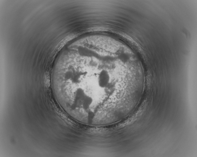 X0000112430929200909111027