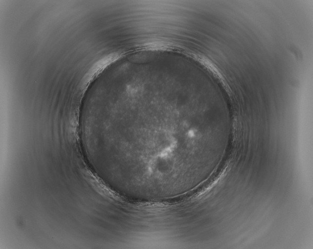 X0000112430930200909111027