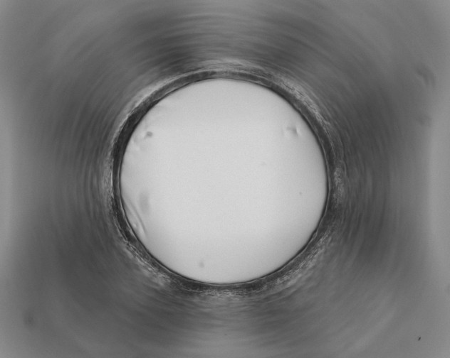 X0000112430931200909111027