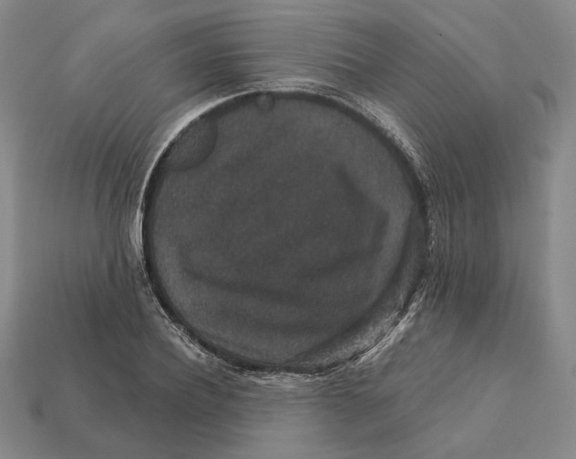X0000112430932200909111027