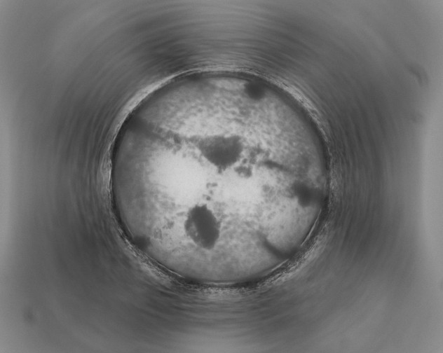 X0000112430933200909111027