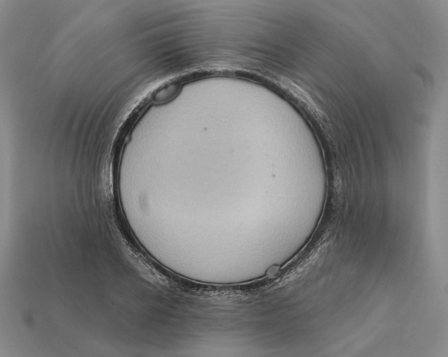 X0000112430934200909111027