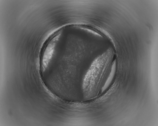 X0000112430935200909111027