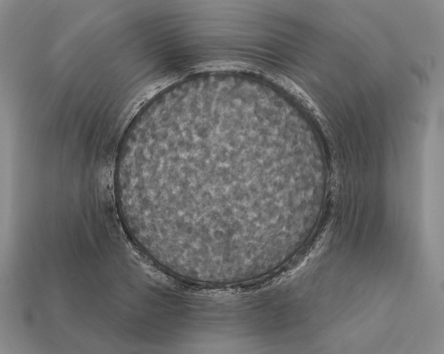 X0000112430937200909111027