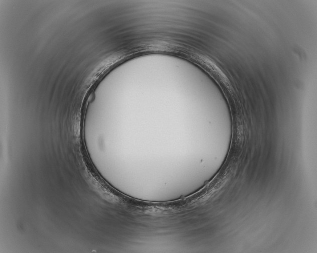 X0000112430938200909111027