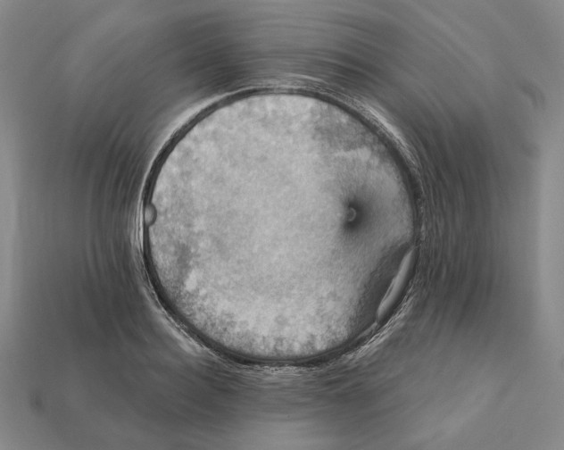 X0000112430940200909111027