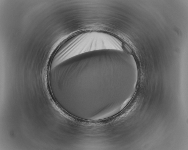X0000112430941200909111027