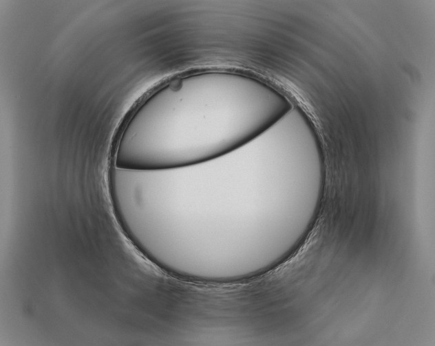 X0000112430942200909111027