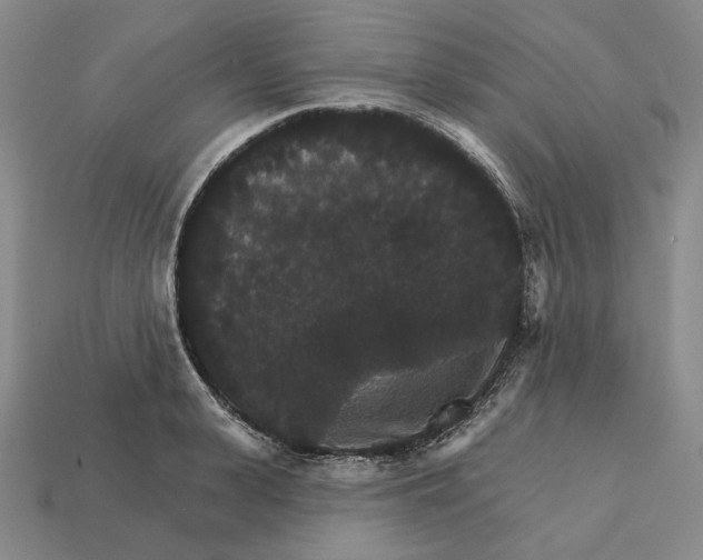 X0000112430943200909111027