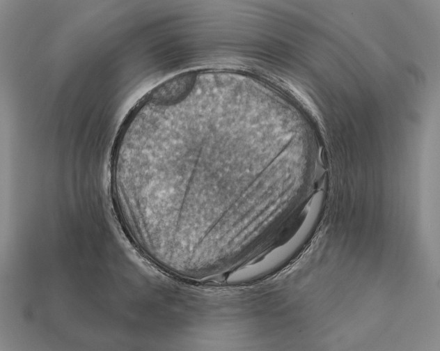 X0000112430944200909111027