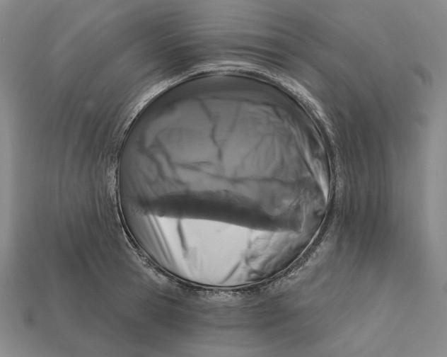 X0000112430945200909111027