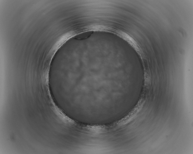 X0000112430946200909111027
